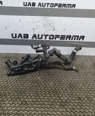 Thermostat/thermostat housing
