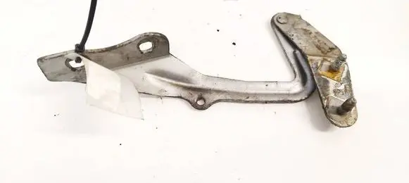 Ford Focus Engine bonnet/hood hinges 