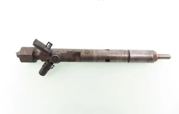 KIA Carnival Fuel injector 0432193655