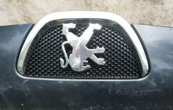 Peugeot 107 Front grill