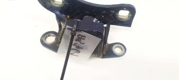 Chrysler 300 - 300C Rear door lower hinge