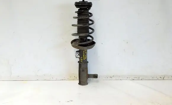 Opel Insignia A Front shock absorber with coil spring 193267