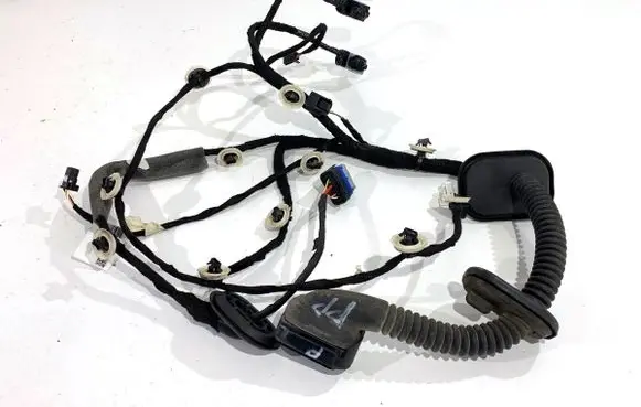 Renault Arkana Front door wiring loom 241246054R