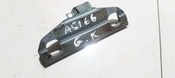 Rear door lower hinge