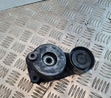 Mercedes-Benz C W204 Timing belt/chain tensioner A6422000070