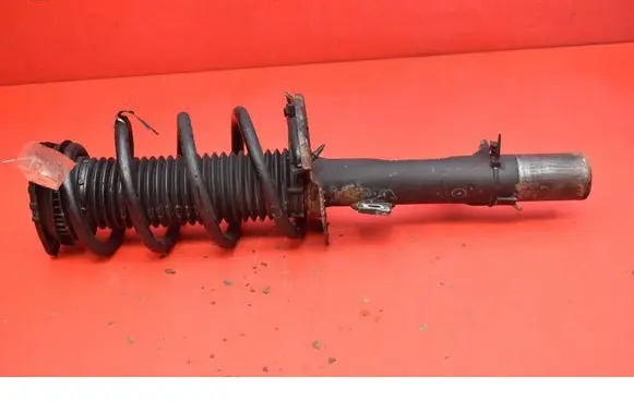 Ford Escape III Front shock absorber/damper 