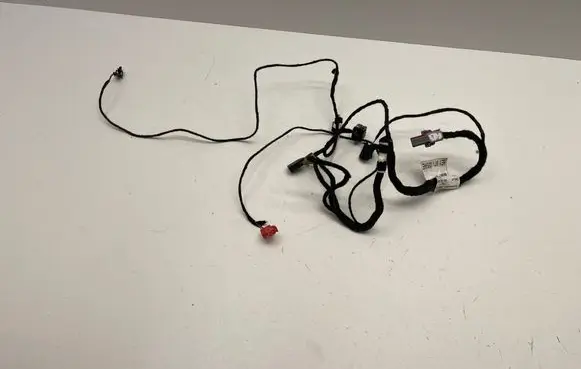 Front door wiring loom