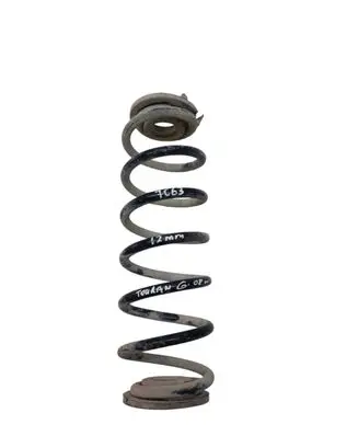 Rear coil spring