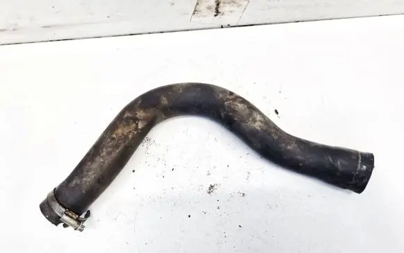 Fiat Grande Punto Engine coolant pipe/hose