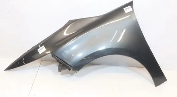 Citroen C4 II Picasso Fender 