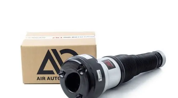 Mercedes-Benz S W221 Rear air suspension bag/shock absorber 213205513 A2213205713 A221320551380
