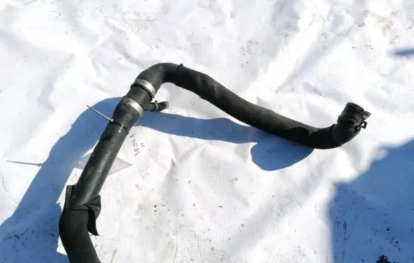 Mercedes-Benz B W245 Engine coolant pipe/hose A1695010482