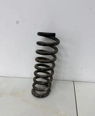 Rear coil spring