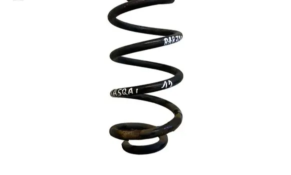 Rear coil spring