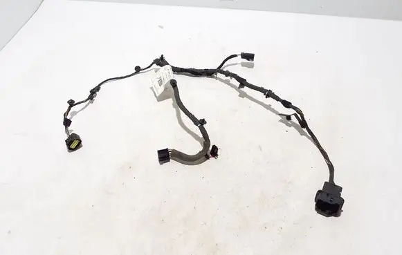 Other wiring loom