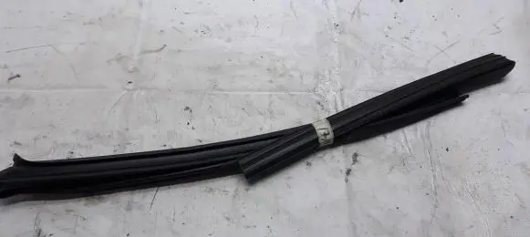 Mitsubishi Lancer X Rubber seal front coupe door 