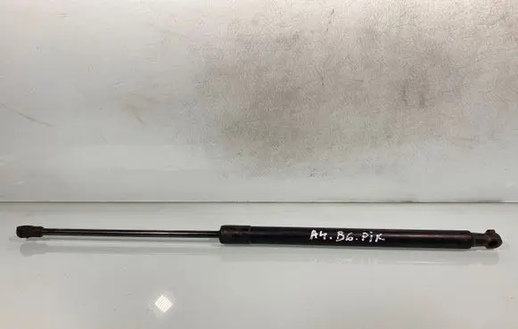 Tailgate/trunk strut/damper