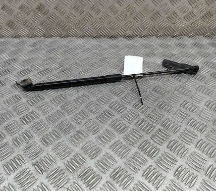 Front bonnet/hood damper/strut
