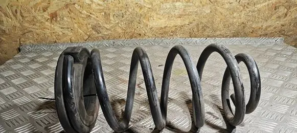 Hyundai Santa Fe Rear coil spring 553312B000
