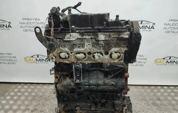 Volkswagen Transporter - Caravelle T7 Engine DSS