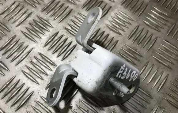 Rear door lower hinge