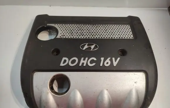 Hyundai Sonata Engine cover (trim) 2924025020