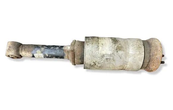 Land Rover Range Rover Sport L320 Front shock absorber/damper 22241483