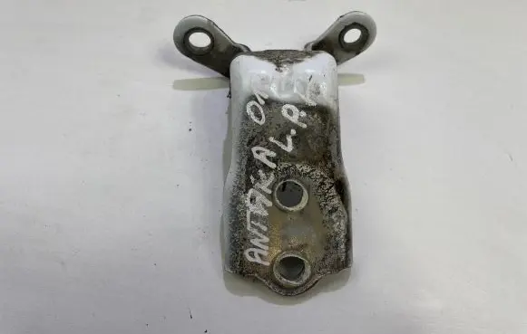 Opel Antara Front door lower hinge 