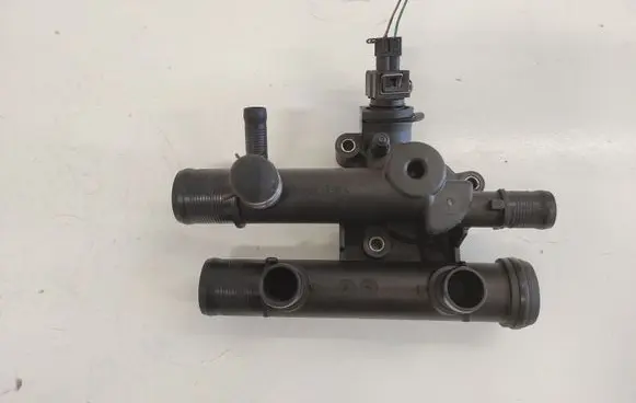 Thermostat/thermostat housing