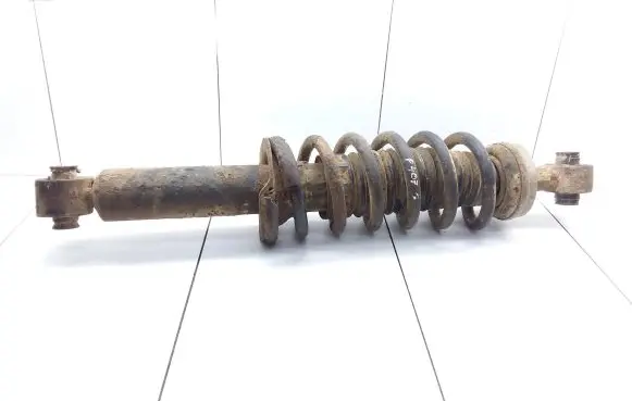 Peugeot 407 Rear shock absorber with coil spring 