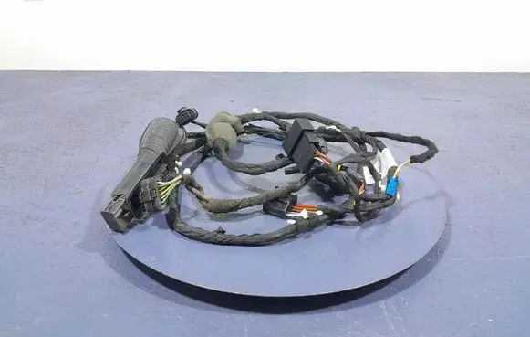 BMW X7 G07 Other wiring loom 8779824