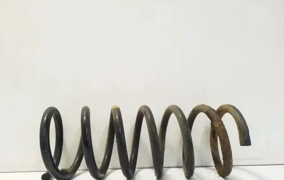Ford S-MAX Rear coil spring