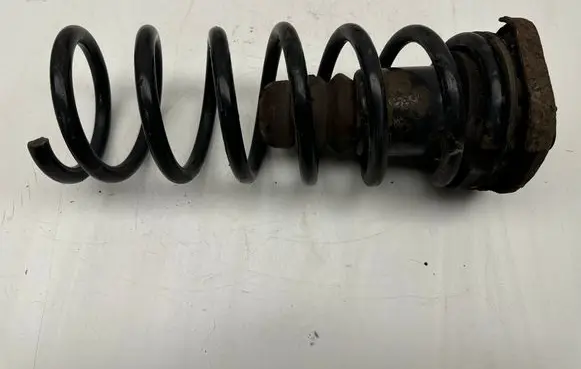 Rear coil spring