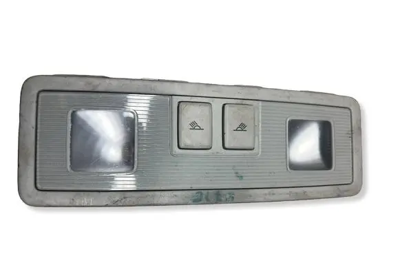 Audi Q5 SQ5 Headlining lighting console trim 3V094291Y20
