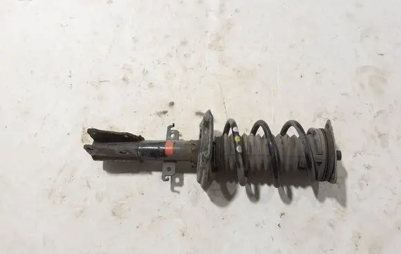 Renault Kangoo III Front shock absorber/damper 543028696R