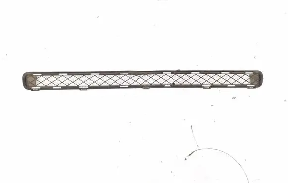Front bumper lower grill