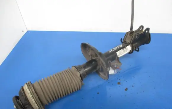 Fiat Punto (199) Front shock absorber with coil spring 51865489