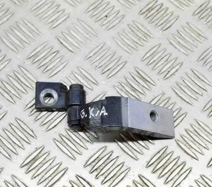 BMW X3 G01 Rear door lower hinge 7397385