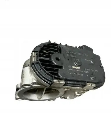 Mercedes-Benz E W212 Throttle valve A6460900970