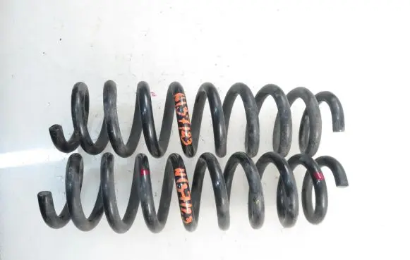 BMW X1 E84 Rear coil spring