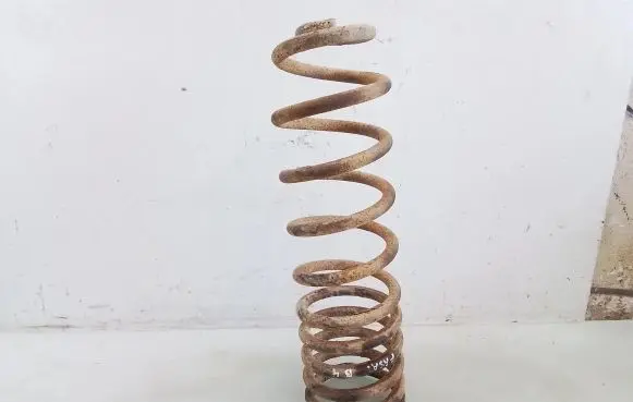 Rear coil spring