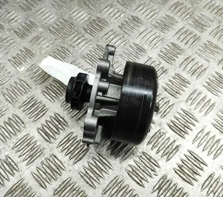 KIA Sorento Water pump 251002M810