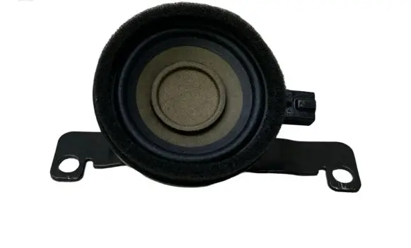 Audi e-tron Front door high frequency speaker 4KE035399A