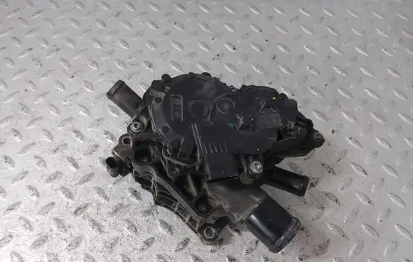 Thermostat/thermostat housing