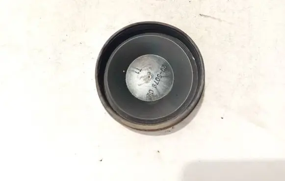 Headlight/headlamp dust cover