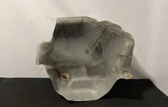 Exhaust heat shield