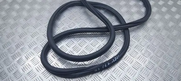 Volkswagen e-Golf Front door rubber seal 5GE867912B