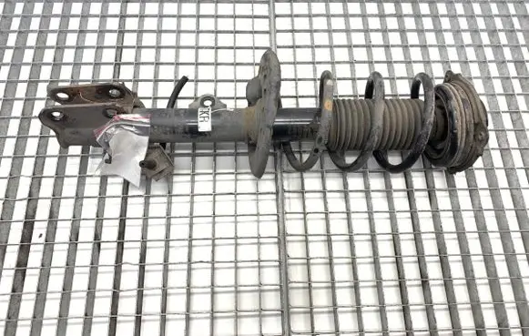 Nissan Juke I F15 Front shock absorber/damper