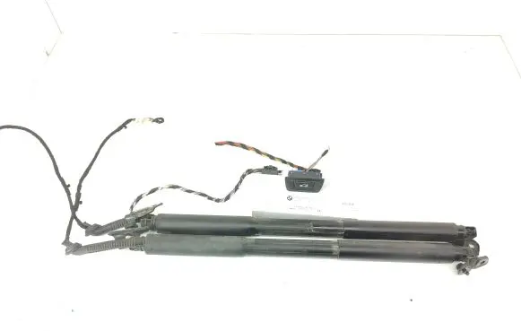 BMW 3 F30 F35 F31 Tailgate hydraulic set 7388490 9275119
