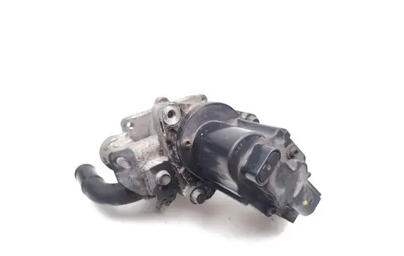 EGR valve